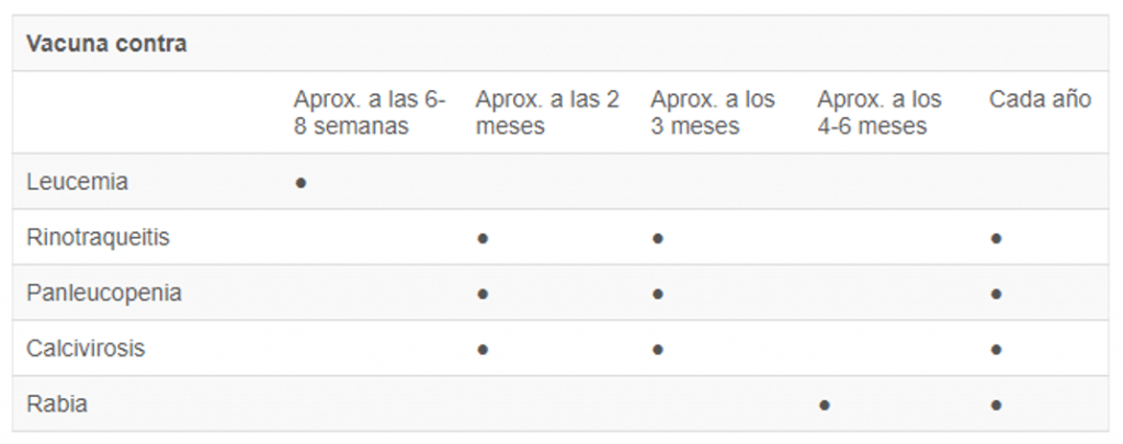 Seguro veterinario para perros y gatos