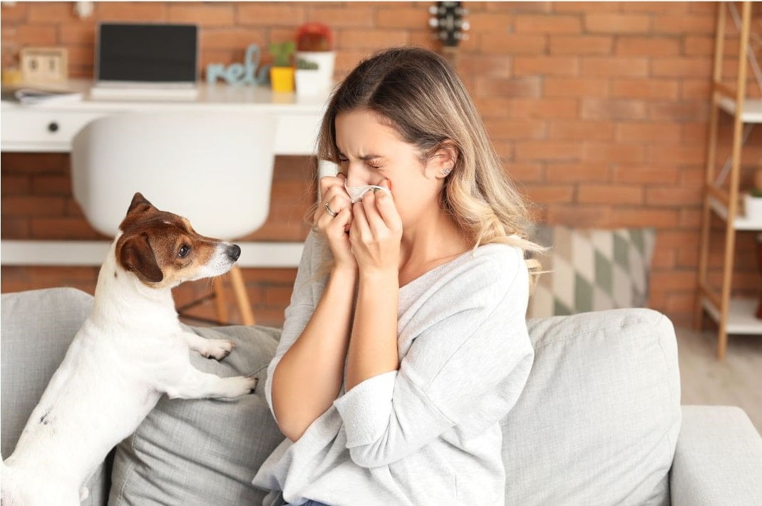Animales y alergias: todo lo que debes saber y cómo actuar