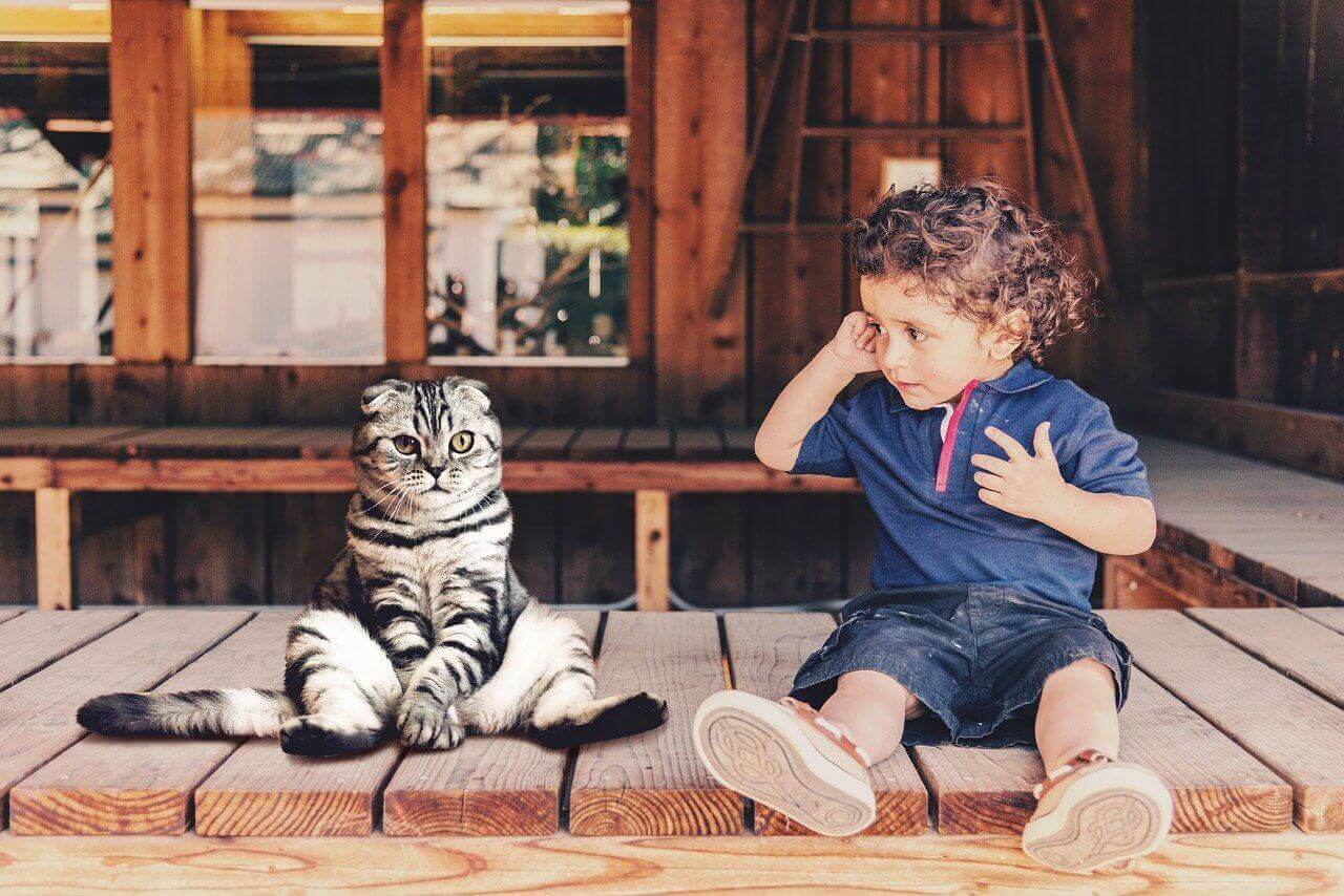 como ensenar a los niños a cuidar los animales