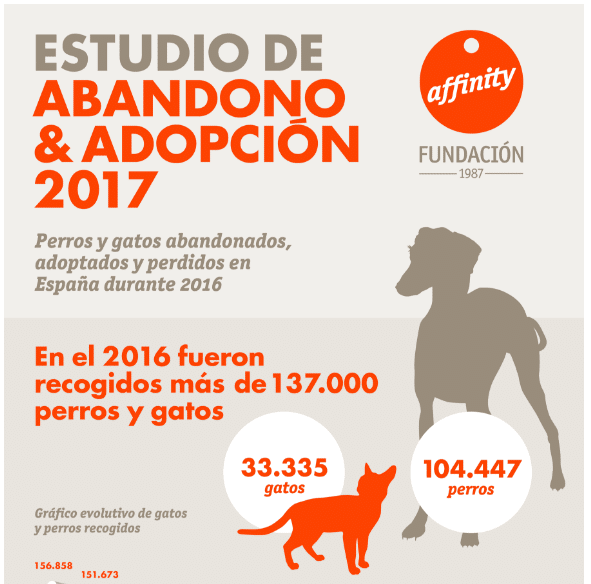 Estudio del abandono animal